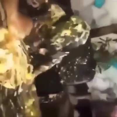 Moldy birthday cake