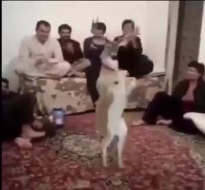 ما هذا اللعنة؟