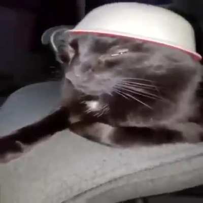 Hat Cate