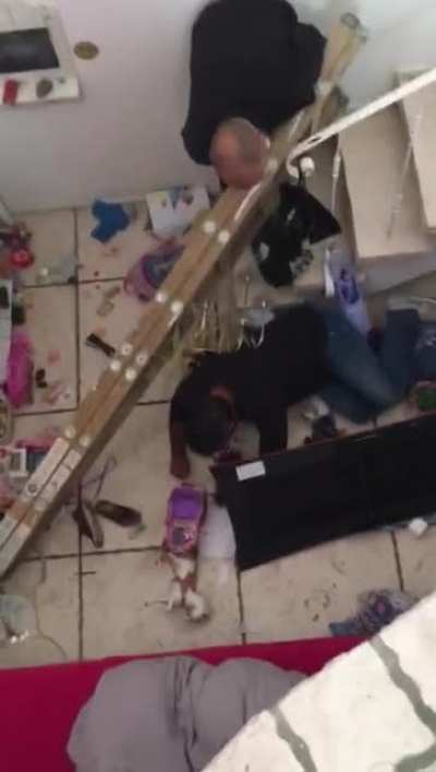 This guy falling from ladders