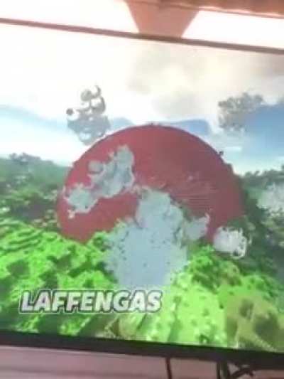 Poo