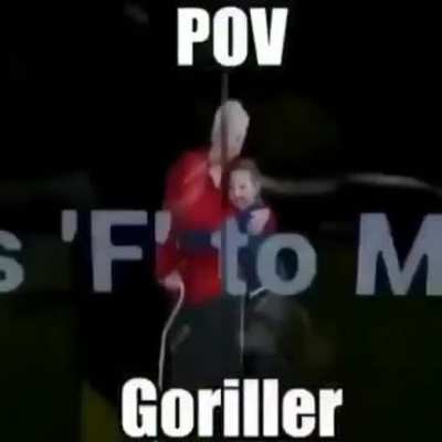 Harambe