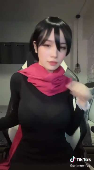 Mikasa