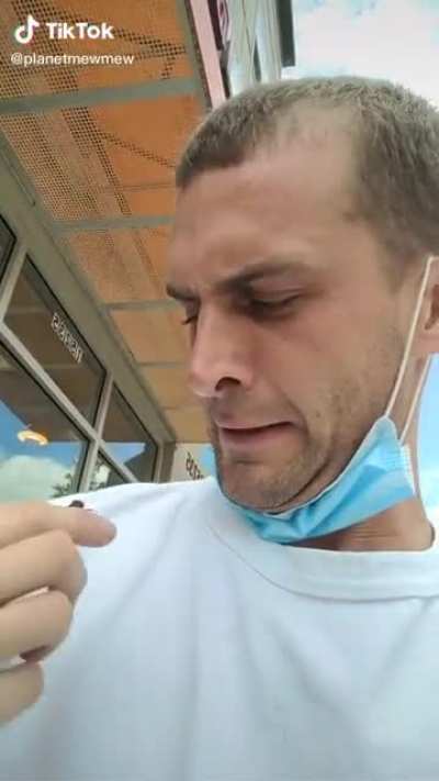 What to do if a cicada lands on you