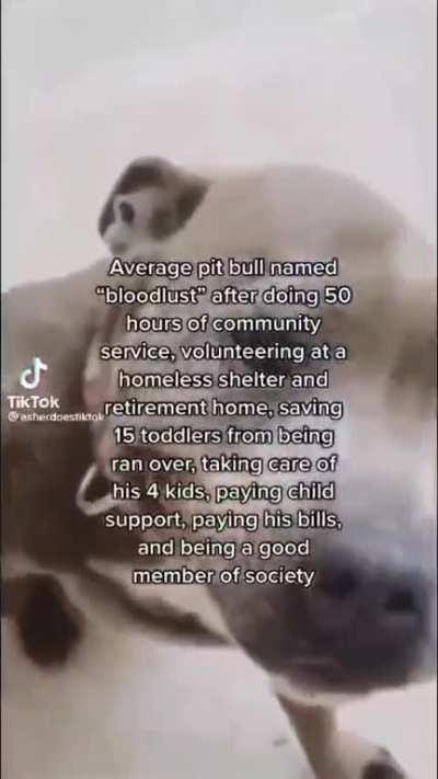 pyrit