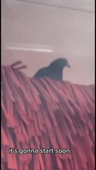 May he rest in pieces