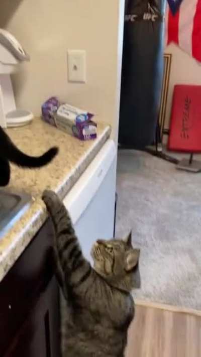 Dutch&rsquo;s first toaster experience, featuring Marston trying to warn him