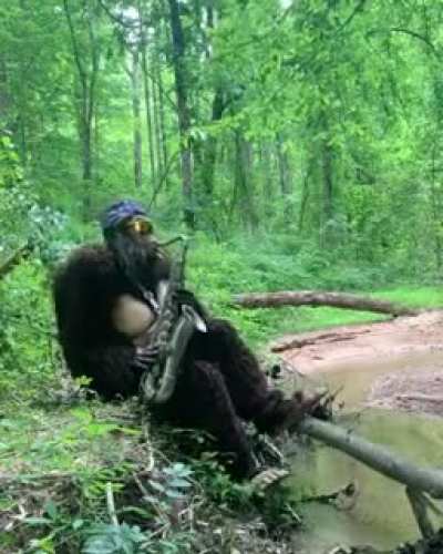 P&eacute; grande de boa na floresta pq ningu&eacute;m t&aacute; ca&ccedil;ando ele por causa da quarentena