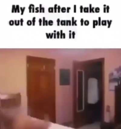 Fishy