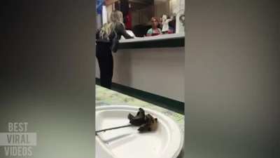 They put green peppers instead of red peppers on her kebab