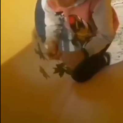 La marankandinwana