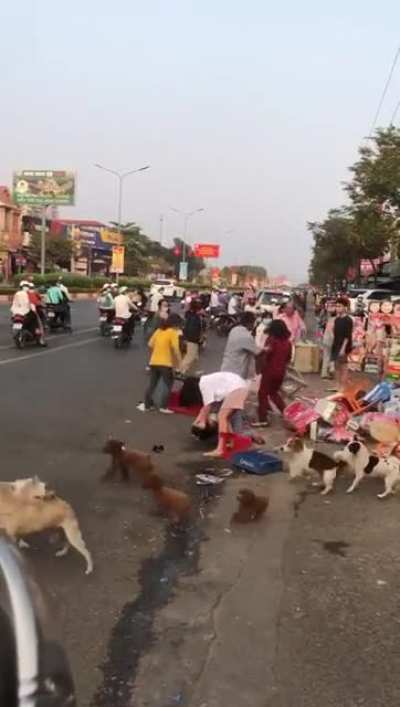 Vietnamese Lunar New year Chaos