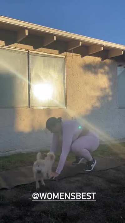 Workout