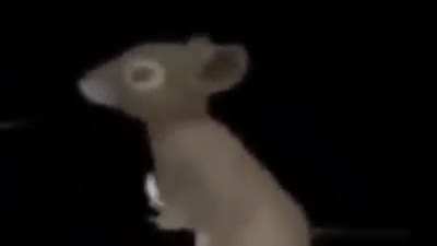 Pico rap