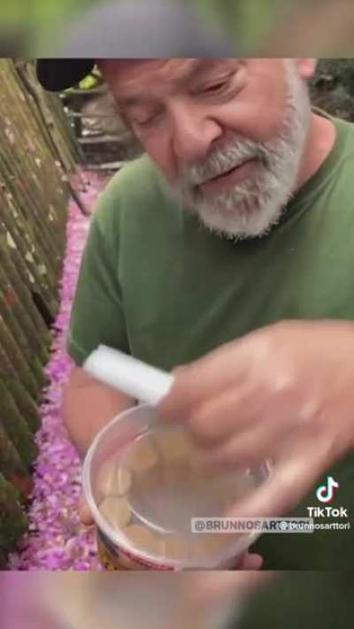 Lula não morreu, foi apenas fazer um Review de paçoquinha e já voltou.