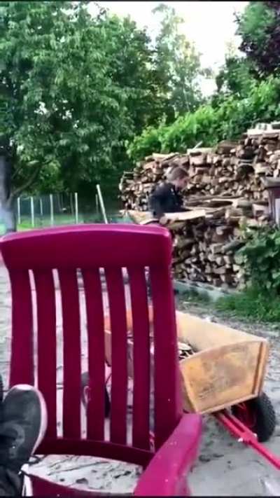 What&rsquo;s for dinner Pavlov