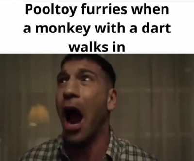 losercity pooltoy furs