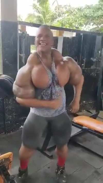 Sarad&atilde;o