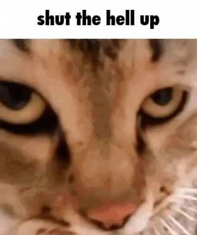deadass bro