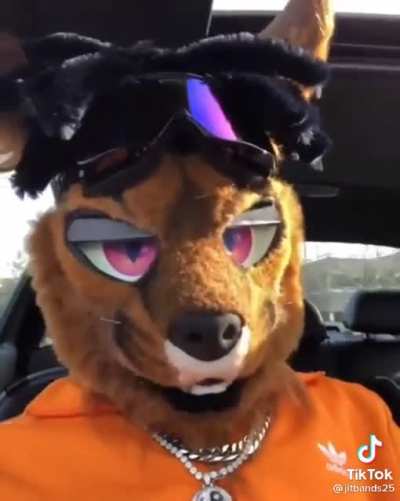 Admin reveal