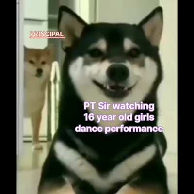 PDF file