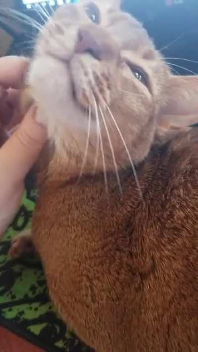 That blissful look.
