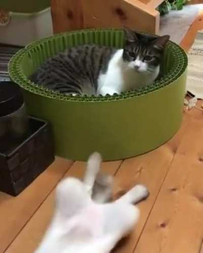 She wasn&rsquo;t expecting that hit