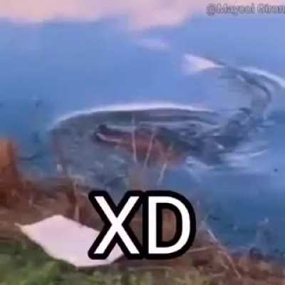 Pa upvote