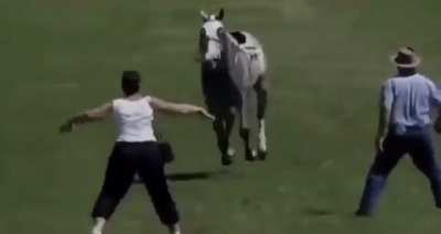 That must&rsquo;ve hurt