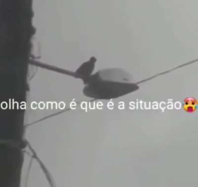 funcionario foda