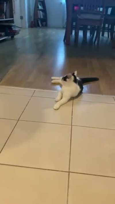 I left the shelter&hellip; for this?