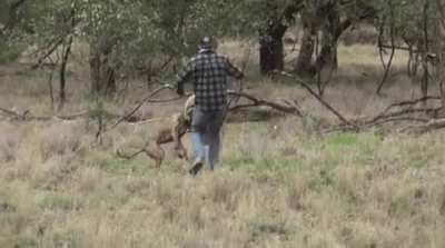 WCGW if i put an australian owner's dog in a chokehold