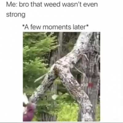 Ahem