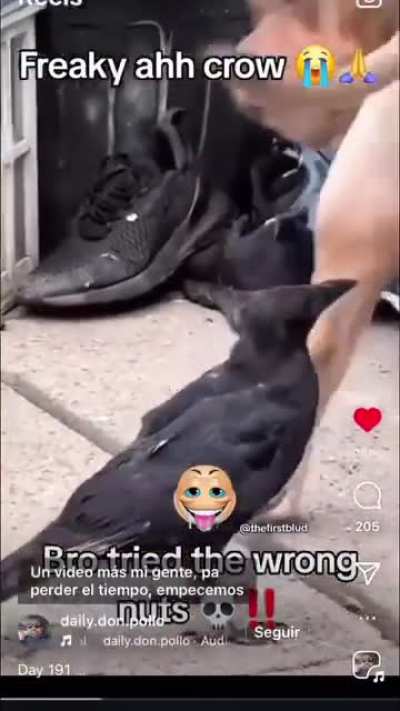 ~