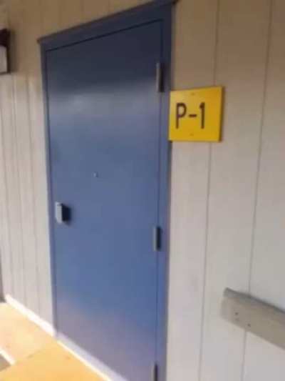 P-1