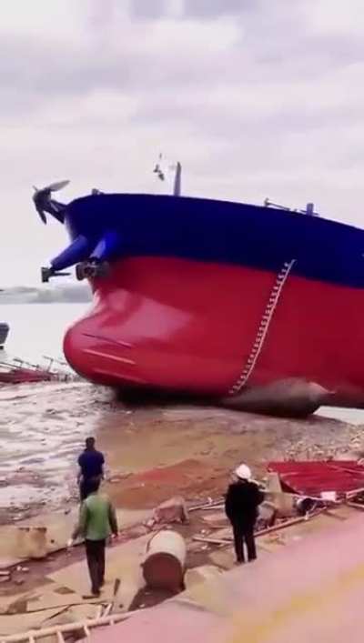 From sea to land
