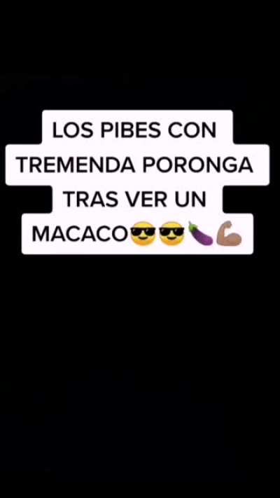 Nooo macacoooo