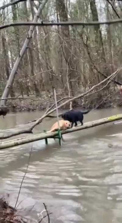 Helping hand
