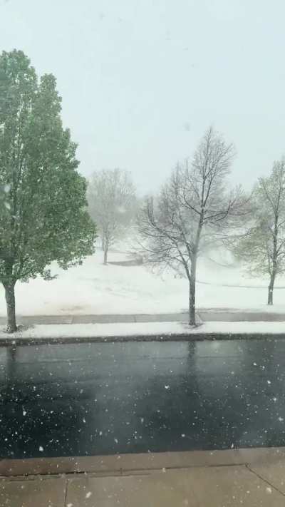 Fort Collins, Colorado