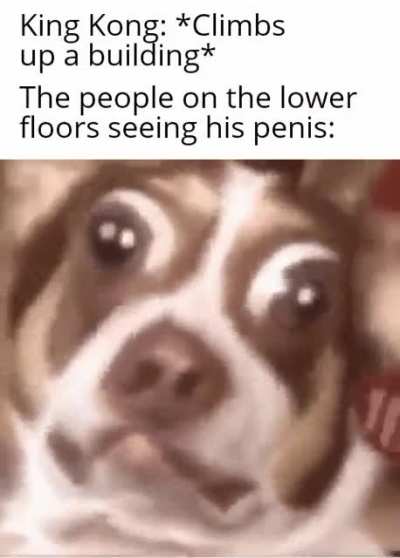 found on r/dankmemes