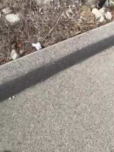 Underestimated how fast I was gonna go on my longboard