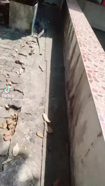 Q.
