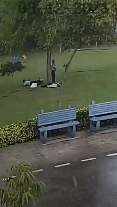 People taking shelter under tree get struck by lightning