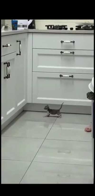 When you try your best but you don't succeed