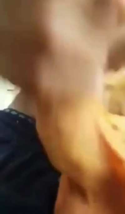 cock 👉 👈cock