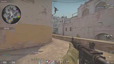 Is that a new kind of decoy?