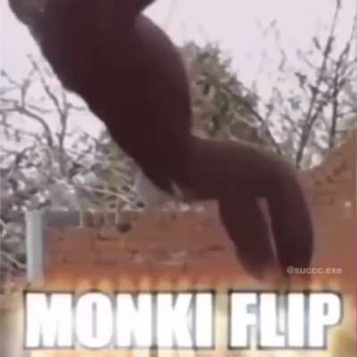 Monke