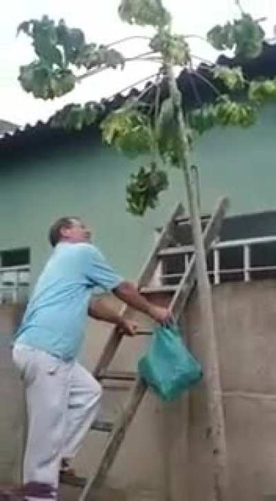 É a Primeira Vez