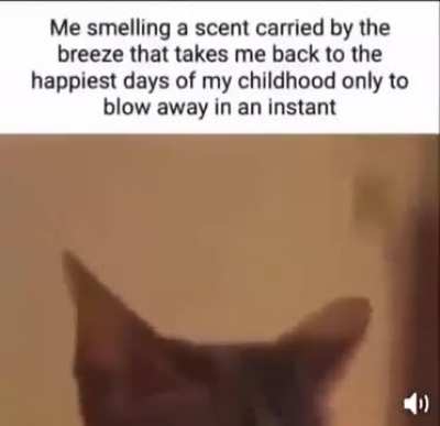 Just a little too relatable!!