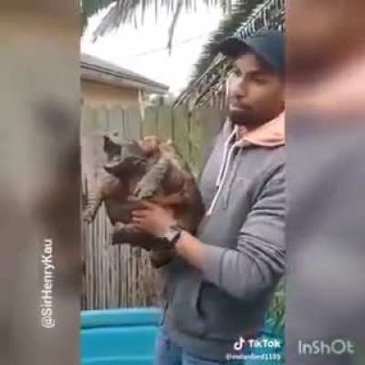 Slightly edited video of this Turtle not &ldquo;Overreacting&rdquo;